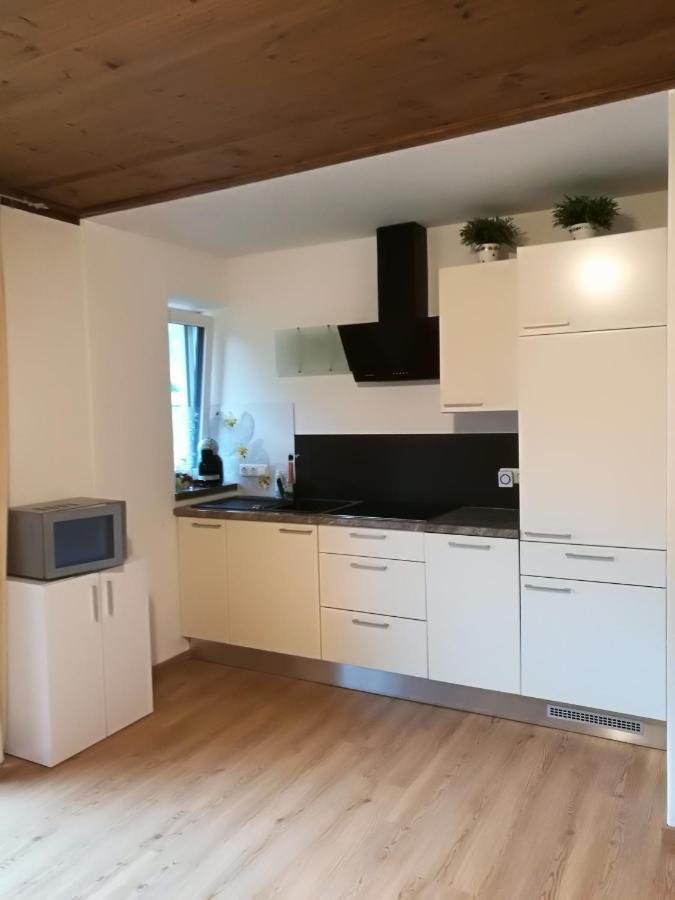 Gemuetliche Wohnung 10 Minuten Vom See Entfernt Zell am See Eksteriør billede